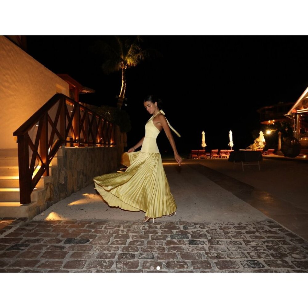 Alexis Yellow Pleated Maxi Halter Dress - Picture 5 of 16